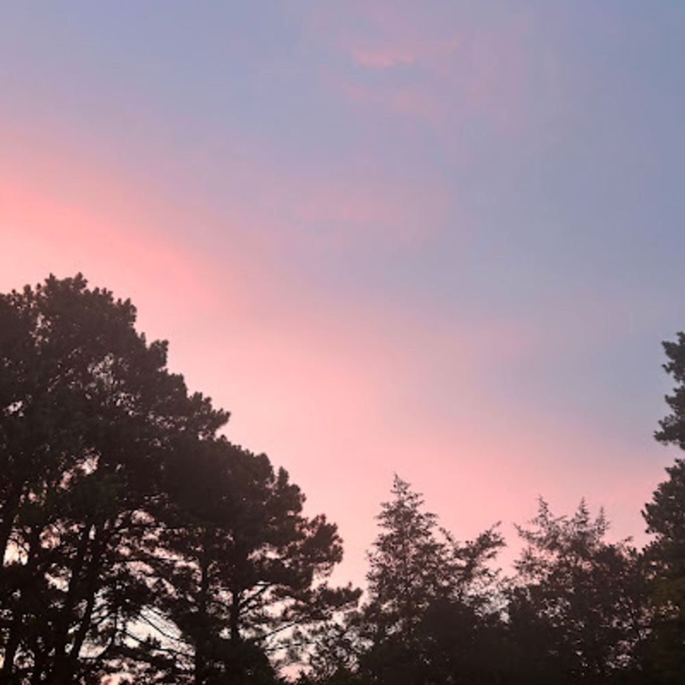 Meet your Posher, Cam